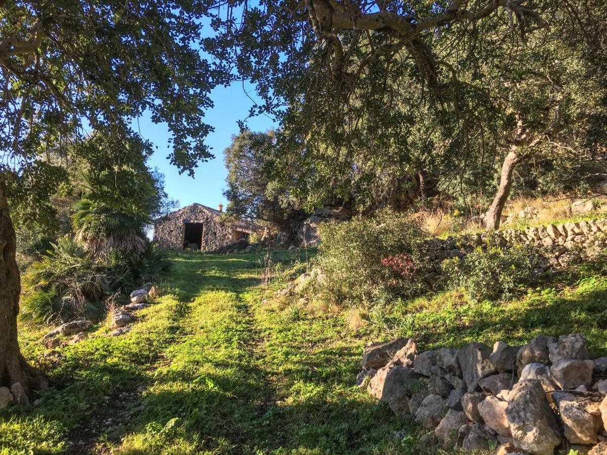 Son Hortola Holiday home